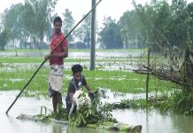 In this video grab taken from the Associated Press Television footage, Bangladeshi men with a goat row a banana raft through flood waters in Lalmonirhat, Bangladesh, Monday, July 13, 2020. AP