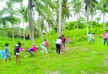 Dengue cases in Antique drop due to COVID cleanup activities – IPHO Beneficiaries of the Department of Labor and Employment’s (DOLE) cash for work program in Caluya, Antique cleans the surrounding of a town facility in this undated photo. Integrated Provincial Health Office information officer Irene Dulduco attributed the decrease of dengue cases in the province to the implementation of DOLE’s program. PESO-CALUYA,ANTIQUE
