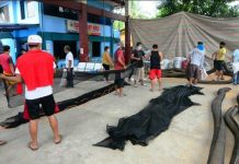 In Barangay Mansaya, Lapuz, Iloilo City volunteers make improvised oil spill booms fashioned out of nets and rice hulls. AC Energy says close to 200 volunteers have signed up to aid in the cleanup operations of oil spill-affected coastal areas. Apart from investigations of environmental agencies, the Department of Labor and Employment (DOLE) Region 6, too, started its own investigation of the oil spill. The probe focuses on possible breaches to Republic Act 11058 (New Occupational Safety and Health Law) and Department Order No. 198-18 (Implementing Rules and Regulations of the Act). IAN PAUL CORDERO/PN