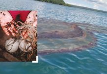 Oil spill fouls 20 Guimaras coastal brgys
