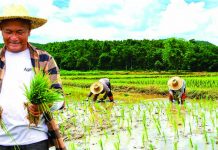 LANDBANK releases P3.02-B in loans to help farmers, fishers boost productivity