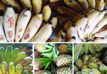 Some of the fruits available in the "Negrense: Kadiwa" store in Bacolod City on July 8. From April 1 to June 22, the Kadiwa store generated total sales of P2.751 million after catering to more than 3,000 consumers. NEGRENSE-KADIWA FB PAGE VIA PNA