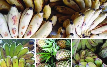 Some of the fruits available in the Negrense Kadiwa store in Bacolod City on July 8, 2020. Some of the fruits available in the "Negrense: Kadiwa" store in Bacolod City on July 8. From April 1 to June 22, the Kadiwa store generated total sales of P2.751 million after catering to more than 3,000 consumers. NEGRENSE-KADIWA FB PAGE VIA PNA