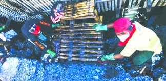 These residents of Barangay Bo. Obrero, Lapuz, Iloilo City help in the cleanup operation of the oil spill from Power Barge 102. Prolonged exposure the spilled bunker oil may bring adverse health effects, the Department of Health warns. IAN PAUL CORDERO/PN
