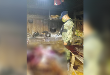 Culasi bros hacked each other; 1 dead A police officer checks the body of Alex Ayon who was hacked to death by his younger brother Robert in Barangay Magsaysay, Culasi, Antique. CULASI MPS