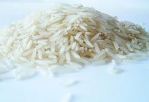 Toboso official hits failure to release P11-M rice subsidy