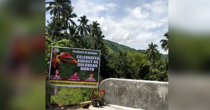 DENR1 A picturesque view of mountains and coconut trees at the background during the celebration of Dulungan Month at Brgy. Flores, Culasi, Antique.