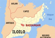 Man nabbed for indiscriminate firing in Badiangan