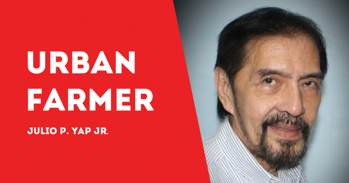 URBAN FARMER JULIO YAP (NEW)