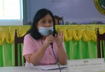 DOH: COVID test not mandatory for pregnant women Pulmones.