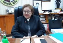 Antique sets protocols in managing repatriates Gov. Rhodora Cadiao of Antique is establishing protocols in managing all returning overseas Filipinos amid the coronavirus disease 2019 pandemic. PNA
