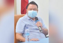 Nat’l task force OKs return of Iloilo LSIs “We understand the intent of our locally stranded individuals to return to their families. We shall have them comply with our health standards,” says Mayor Jerry Treñas of Iloilo City.