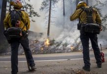 Gender reveal party blamed for California wildfire Close to 15,000 firefighters have been deployed to fight more than two dozen wildfires across California. EPA
