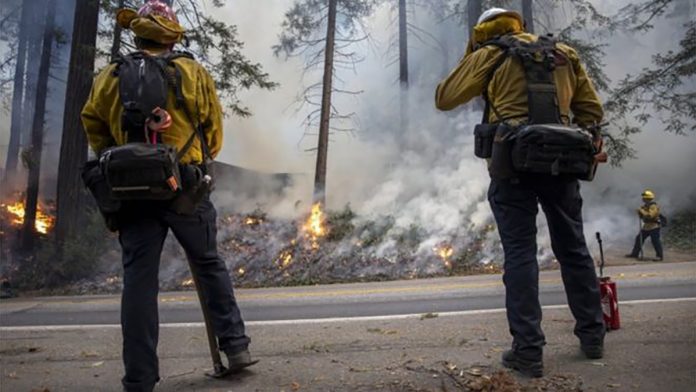 Close to 15,000 firefighters have been deployed to fight more than two dozen wildfires across California. EPA Close to 15,000 firefighters have been deployed to fight more than two dozen wildfires across California. EPA