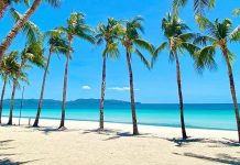 Boracay tourists may take COVID-19 test 72 hrs prior to trip The world-famous Boracay Island saw less than a hundred tourists on the first few days when it was reopened to visitors from outside Western Visayas. GMA NEWS