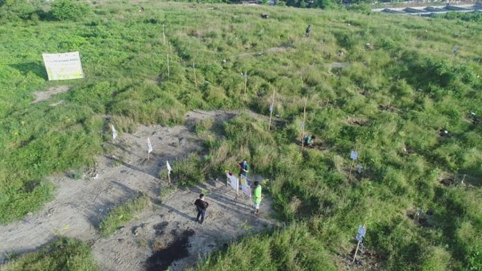 DENR3 Drone shot of the bamboo planting area in Brgy. Calajunan, Mandurriao, Iloilo City where approximately 170 bamboo seedlings were planted by volunteers. DENR 6 regional executive director Francisco Milla Jr. (left), CSC RO6 Regional Director Nelson Sarmiento (center) and DENR Asst. Regional Director for Technical Services Livino Duran led the volunteers during the bamboo planting. PHOTOS BY DENR 6 / PENRO ILOILO