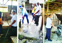 DOLE-6 inspects sacadas’ temporary dwellings Senior Labor and Employment Officer Edilberto Diogenes inspects the temporary dwelling facilities of migratory sugar workers or “sacadas” located at Kabankalan City, Negros Occidental.