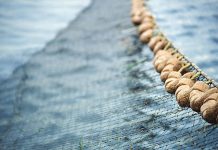 13 arrested for ‘illegal fishing’