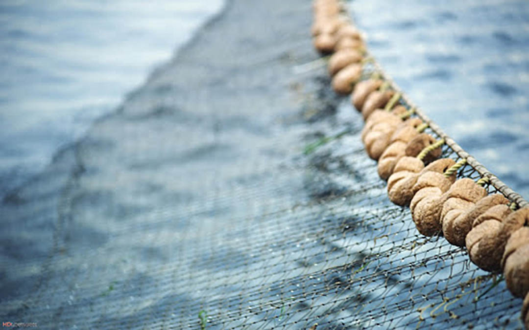 13 arrested for ‘illegal fishing’