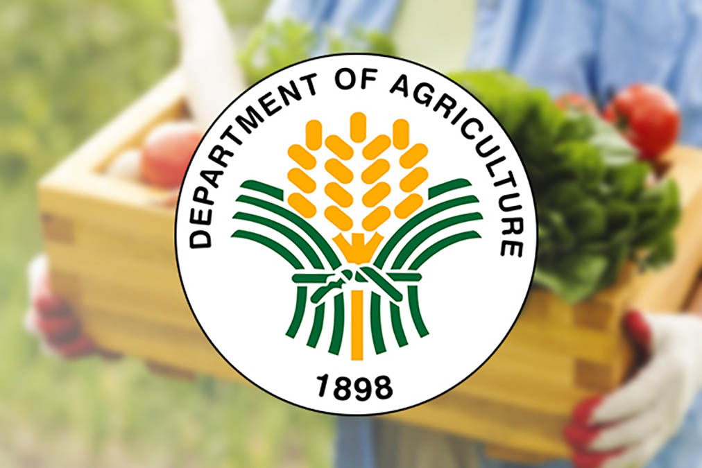 Kadiwa market outlets eyed in 3 Iloilo towns