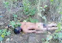 Stabbed, construction worker found dead Construction worker Gerel Laudato lies lifeless in a grassy portion near their bunkhouse in Barangay Bongsod, Sibalom, Antique around 6:25 a.m. on Oct. 1. STEPHEN LOUIE CHECA/PN
