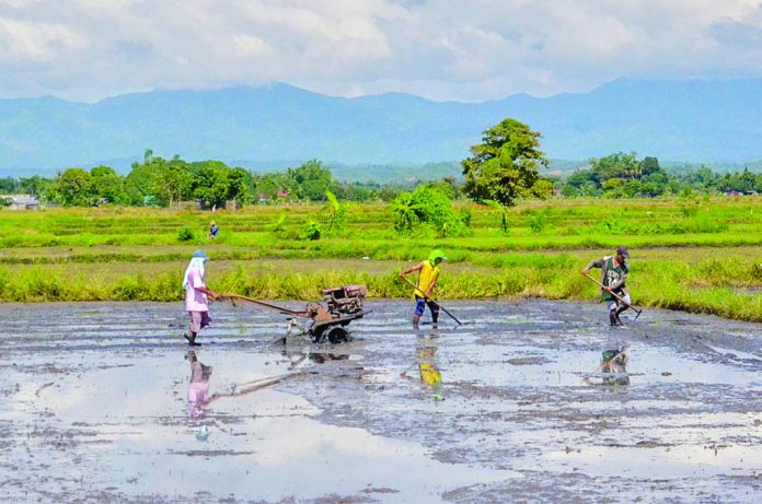 Rice Farmers Farmers use rakes and hand tractor to plow a rice field in Barangay Bita Sur, Oton, Iloilo. Rice farmers from Panay Island were able to benefit from the Emergency Rice Support Project of the Korea International Cooperation Agency. IAN PAUL CORDERO/PN