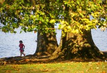 A girl runs in Hyde Park, London, Britain Sept. 16, 2020. HANNAH MCKAY/REUTERS