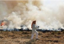 India now facing pollution, pandemic A farmer burns straw stubble after harvesting a paddy crop on Oct. 17 in Amritsar, India. SAMMER SEHGAL/HINDUSTAN TIMES