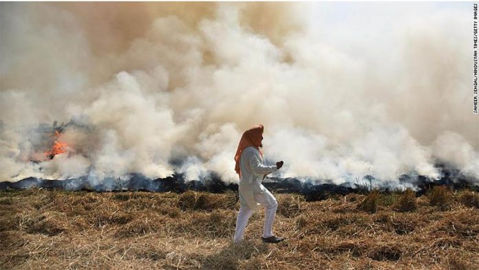 india A farmer burns straw stubble after harvesting a paddy crop on Oct. 17 in Amritsar, India. SAMMER SEHGAL/HINDUSTAN TIMES