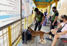 Where are the K9s in Dumangas port? The Philippine Drug Enforcement Agency Region 6 deploys K-9 units at the port of Dumangas, Iloilo to seal off possible smuggling points. PDEA REGION 6