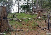 Chainsaw permits in Antique all rescinded In Barangay Inyawan, Libertad, Antique, a protected area covered by the Northwest Panay Peninsula Natural Park, a substantial number of trees were cut down using chainsaws. Republic Act 9175 or The Chainsaw Act prohibits the unlawful use of chainsaw and may put one in jail from six years to eighth years or a fine of not less than P30,000 but not more than P50,000 if found guilty. DENR-6 PHOTO