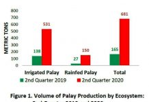 Guimaras ‘palay’ yield up 312.73% Volume of Palay Production by Ecosystem: 2nd Quarter 2019 and 2020
