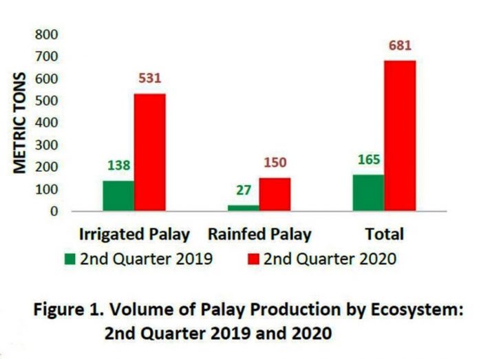 region guimaras palay Volume of Palay Production by Ecosystem: 2nd Quarter 2019 and 2020