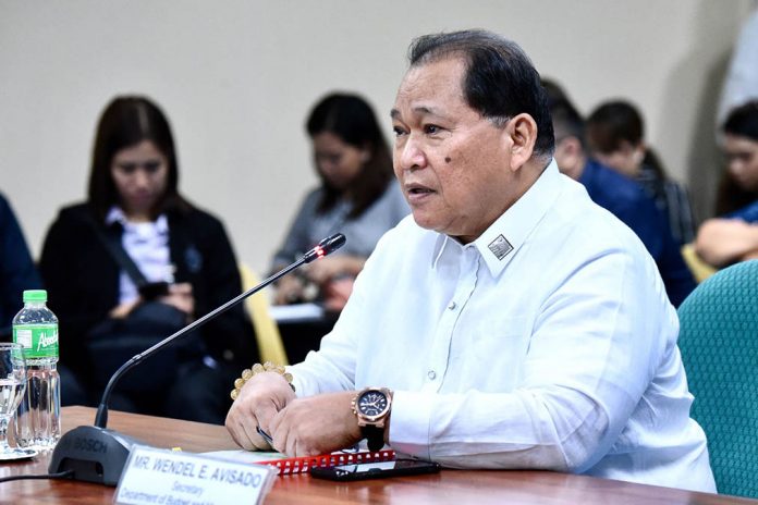 Secretary Wendel Avisado of the Department of Budget and Management takes the hot seat before the Commission on Appointments at the Senate on February 26, 2020. Photo by Angie de Silva/Rappler