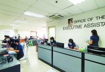 Employees wear facemasks inside the Office of the Executive Assistant of the Iloilo City Hall. City government workers will have priority access to coronavirus vaccine should this become available next year, says Mayor Jerry Treñas. IAN PAUL CORDERO/PN