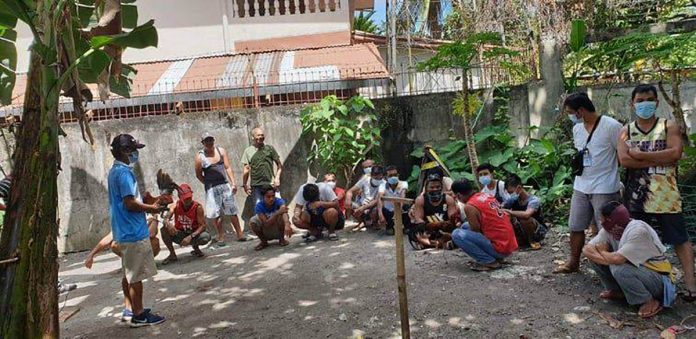 Policemen caught these individuals engaging in illegal cockfighting in Barangay Alijis, Bacolod City on Nov. 22. BCPO Policemen caught these individuals engaging in illegal cockfighting in Barangay Alijis, Bacolod City on Nov. 22. BCPO
