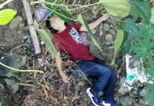 Man found dead with gunshot wounds Jessie Turao, 35, lies lifeless under a bridge in Barangay Taro, Tigbauan, Iloilo on Nov. 28. He had multiple gunshot wounds at the back of his head, police say. CONTRIBUTED PHOTO