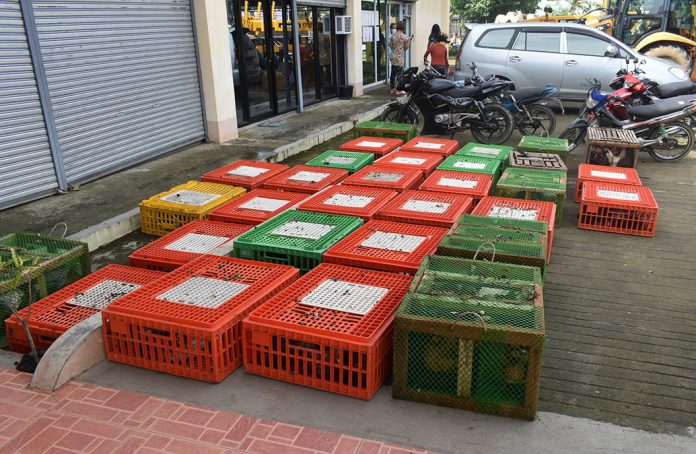 balasan Farmers in Iloilo’s Balasan town received 500 heads of native chicken as livelihood intervention under the Typhoon Ursula Rehabilitation Program of the Department of Agriculture in Western Visayas. DA WESTERN VISAYAS/FB