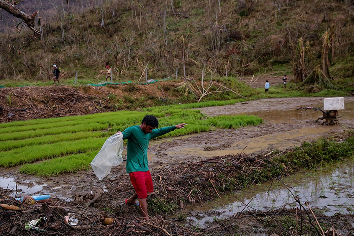Destroyed Rice PH to import more rice after losing supply due to typhoons