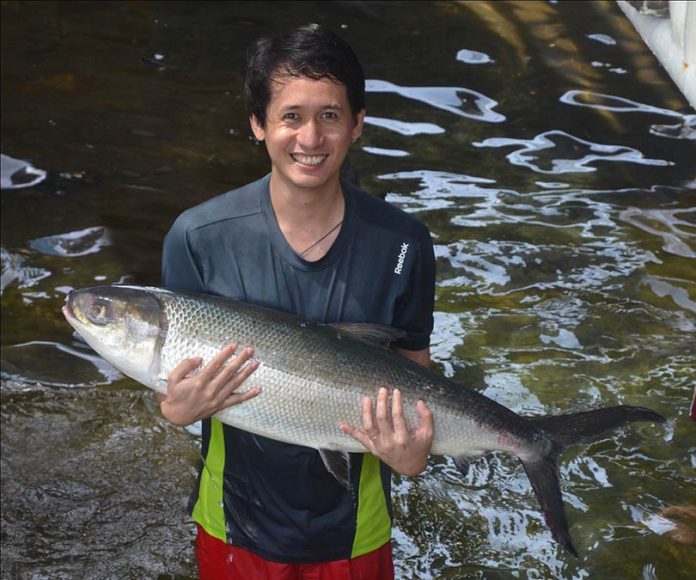 capiznon librarian Stephen Alayon, 2020 Outstanding Professional Librarian of the Year of the Professional Regulation Commission, takes a break from librarian duties at the Southeast Asian Fisheries Development Center Aquaculture Department in Tigbauan, Iloilo to pose with a milkfish breeder. Photo by IT Tendencia