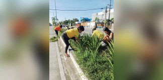 “Limpyo Dalanun” is a province-wide convergence cleanup drive of the Iloilo provincial government. It will kick off on Dec. 11. HAYDEE DELACRUZ/FB