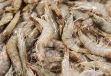 Coronavirus found on Ecuadorian seafood packaging; China suspends imports