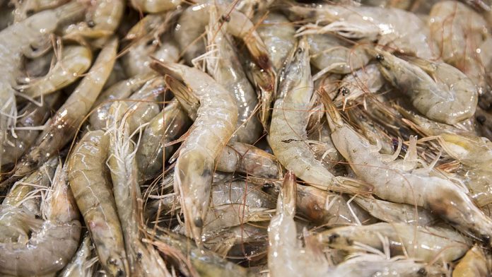 ecuador imports seafood