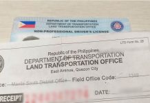 #ICYMI: Validity of licenses of those aged 17-21, 60-65 extended until Dec. 31 PHOTO BY LEANDRE GARCIA