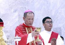 Coronavirus derails Capiz cardinal’s trip to Vatican Capiz Archbishop Jose Advincula is the newest Filipino cardinal in the Roman Catholic Church. PNA