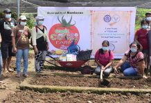 Capiz women get support on organic veggie production Capiz women receive support for their organic vegetable production. DA-6 PHOTO