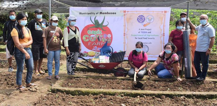 region capiz organic Capiz women receive support for their organic vegetable production. DA-6 PHOTO