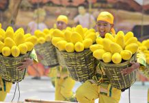 Will 2021 Manggahan, Pagtaltal push through? Guimaras on wait-and-see mode – exec Manggahan Festival is a yearly socio-cultural celebration of Guimaras’ culture, traditions and economy anchored on one of its most successful industries – mango cultivation. PANAY NEWS PHOTO