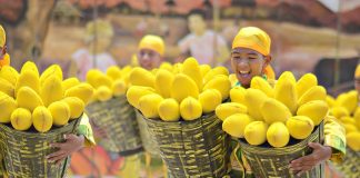 Manggahan Festival is a yearly socio-cultural celebration of Guimaras’ culture, traditions and economy anchored on one of its most successful industries – mango cultivation. PANAY NEWS PHOTO