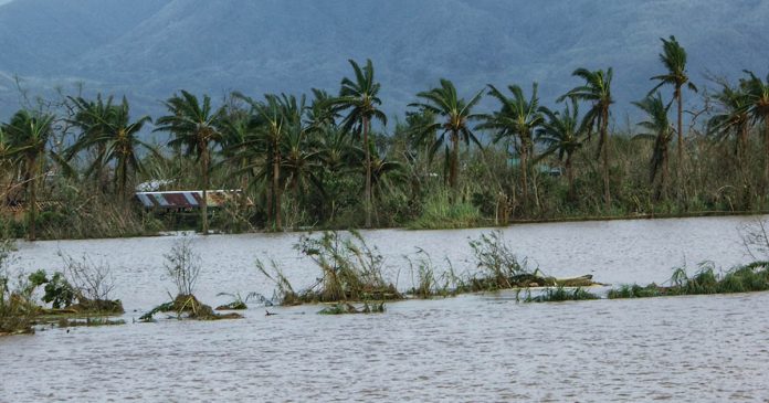 rolly Farms in Oas, Albay have been submerged under water during the onslaught of Typhoon “Rolly” on Sunday, Nov. 1, 2020. PHOTO COURTESY OF ELJANE NIAN C. PIANO